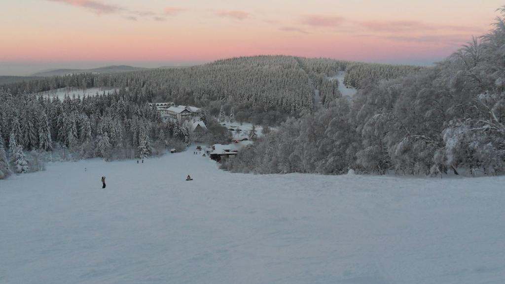 Hotel Winterberg Resort v zimě