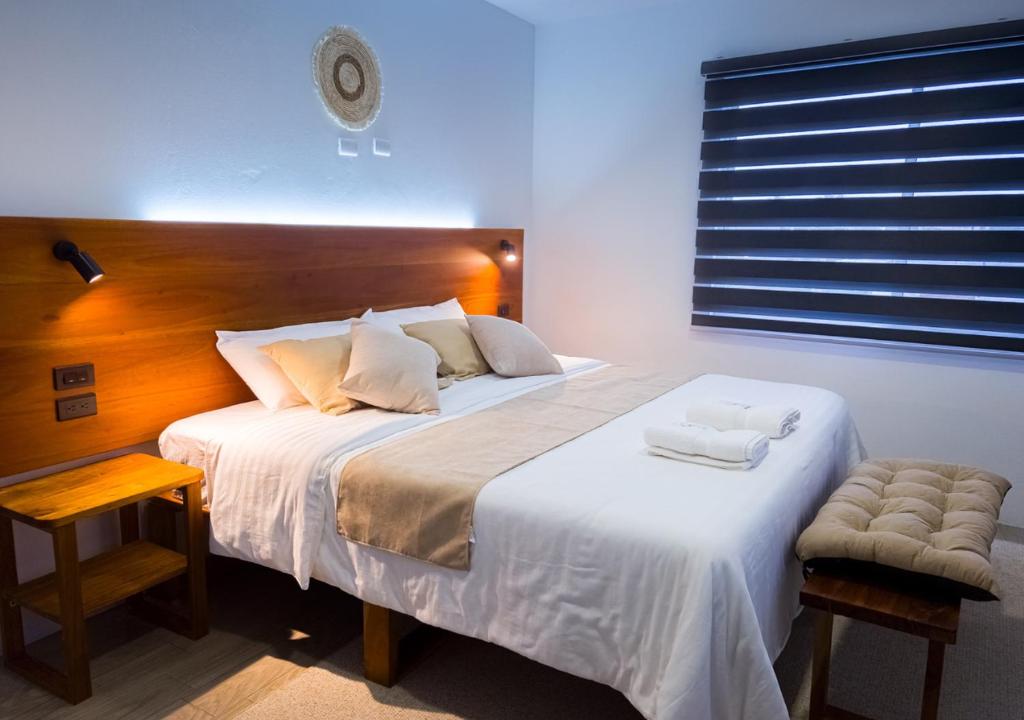 Coral Apartments photo