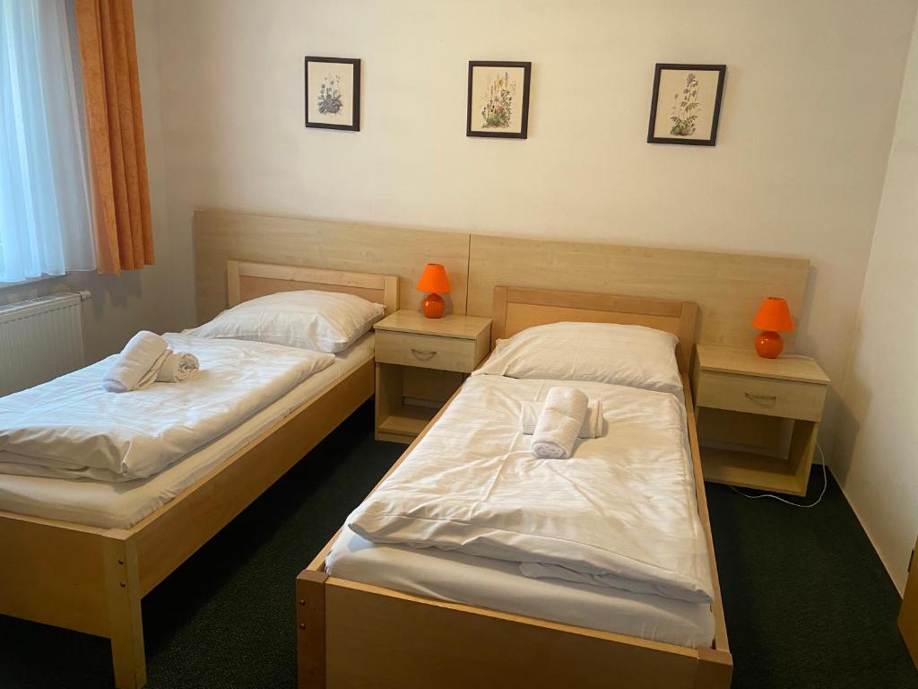 Postel nebo postele na pokoji v ubytování HOTEL RAJSKY