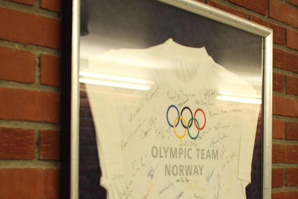 Olympiatoppen Sportshotel - Scandic Partner - Resim 14