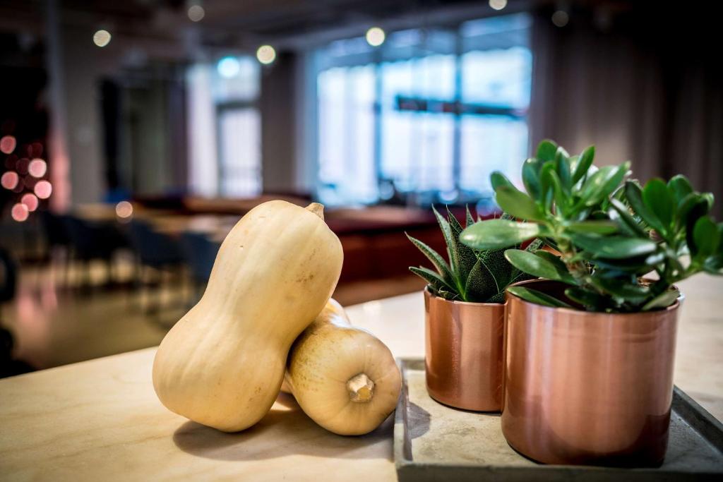 Scandic No 53 - Resim 44