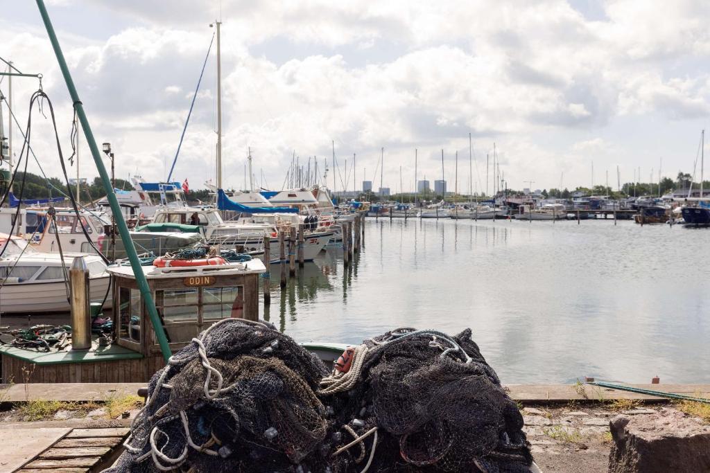 Scandic Sluseholmen - Resim 41