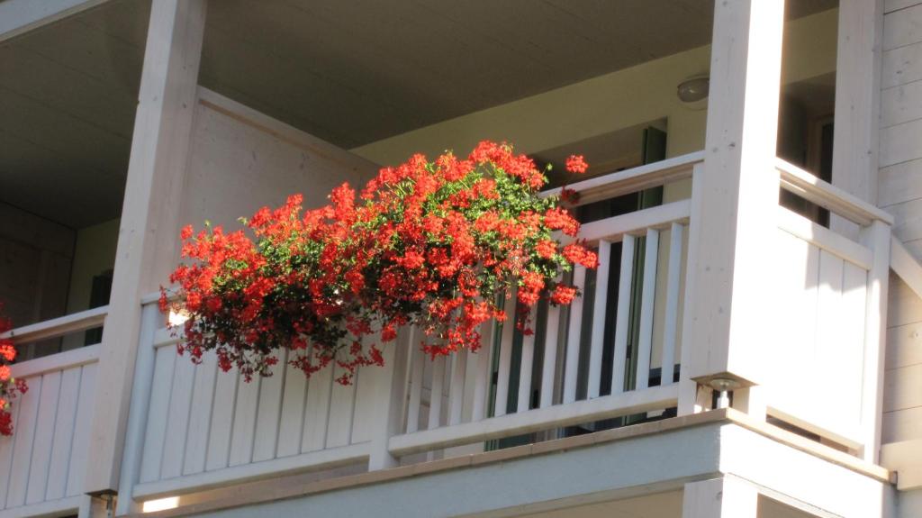 Balkón nebo terasa v ubytování Apartment Valdisole