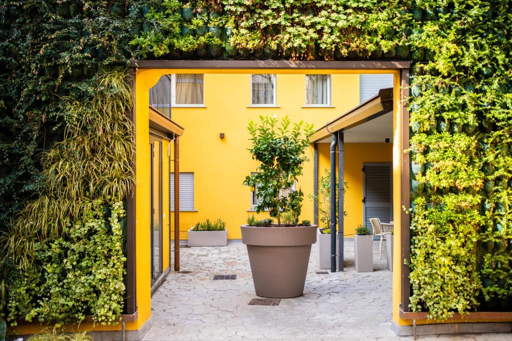 Agave in Centrale - Resim 42