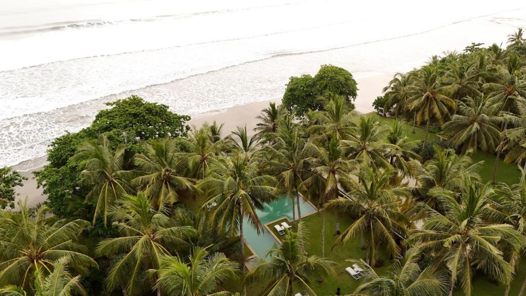 an aerial view of a beach with palm trees at Kelapa Retreat & Spa in Pulukan