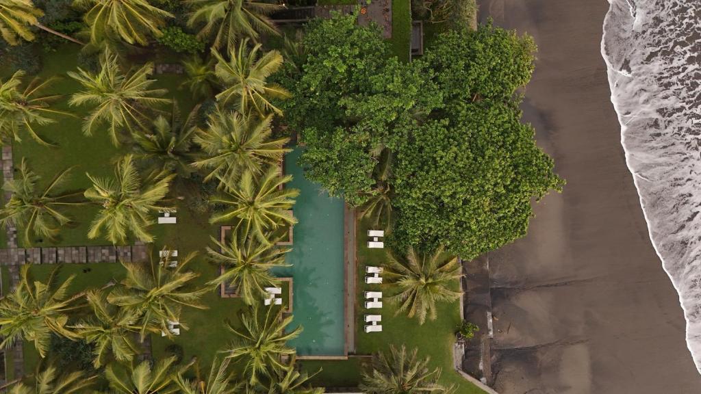 an overhead view of palm trees and a parking lot at Kelapa Retreat & Spa in Pulukan