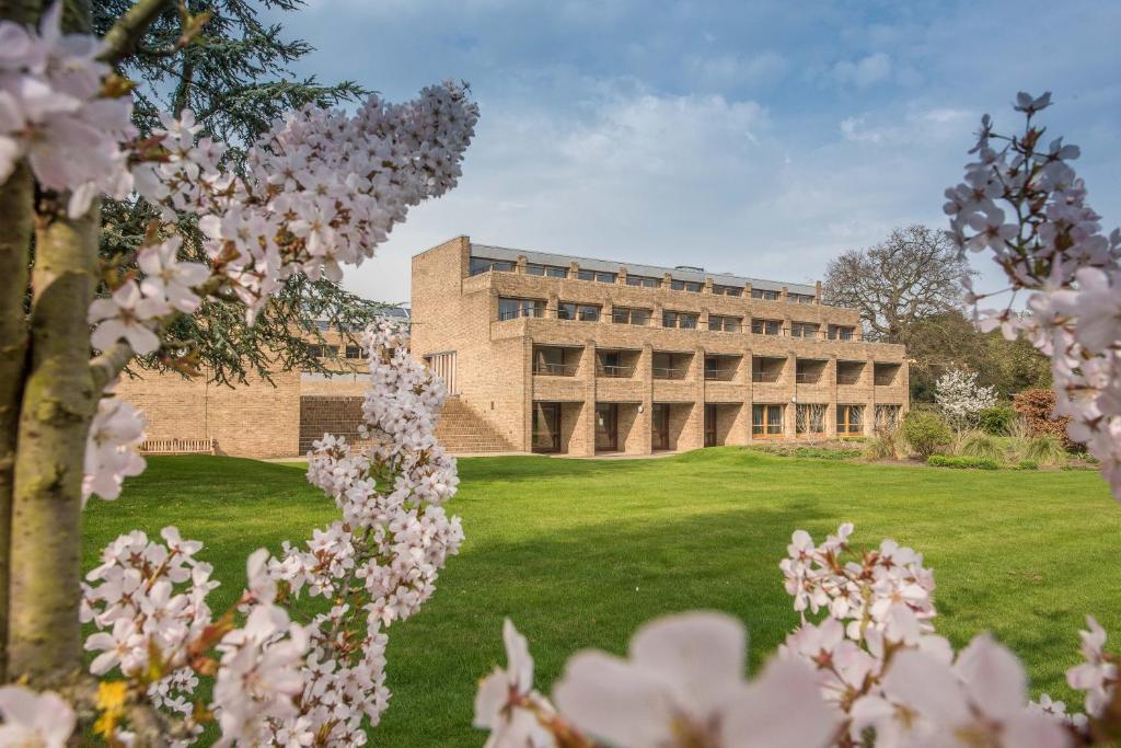 ケンブリッジにあるHarvey Court Gonville and Caius Collegeのピンクの花が目の前に咲く大学の建物