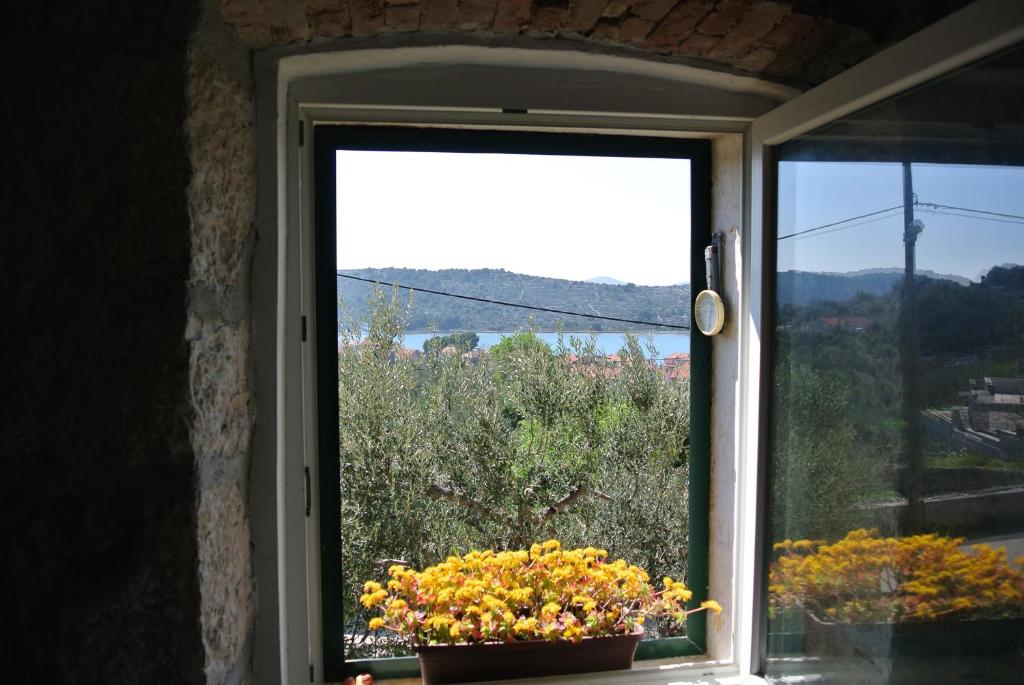 una ventana con una maceta de flores en el alféizar de la ventana en Kaprije Mistral Apartment en Kaprije