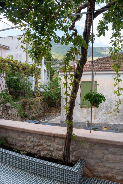 Giardino di Captains' house