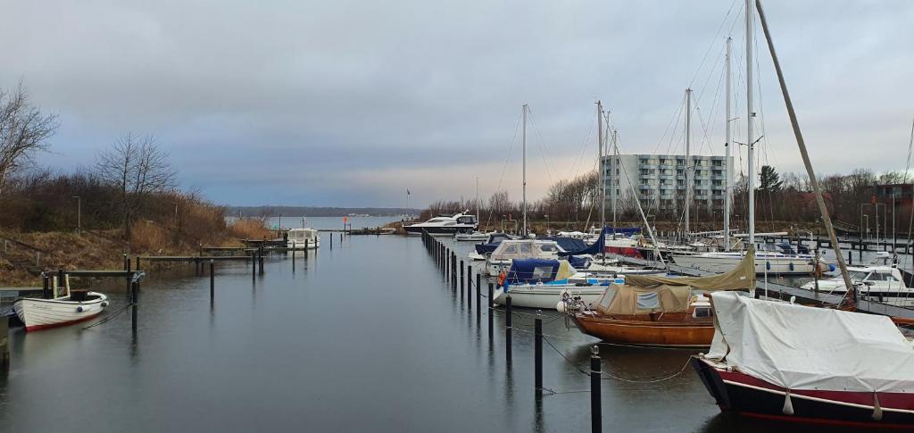a bunch of boats are docked in a marina at An de Waterkant in Schausende