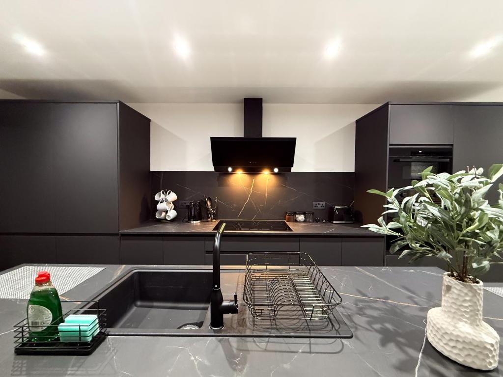 a kitchen with a sink with a bottle on the counter at Santi House in Boston