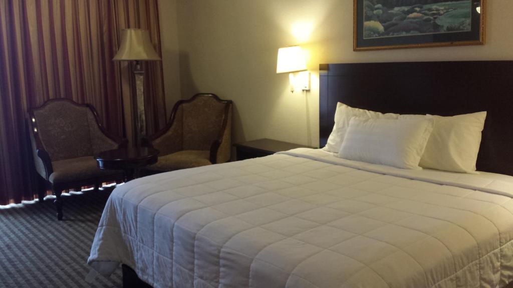 Postel nebo postele na pokoji v ubytování Romana Hotel - Houston Southwest