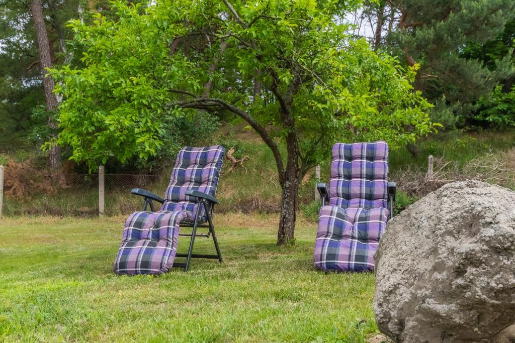 two chairs sitting in the grass next to a tree at zzz in Sztutowo