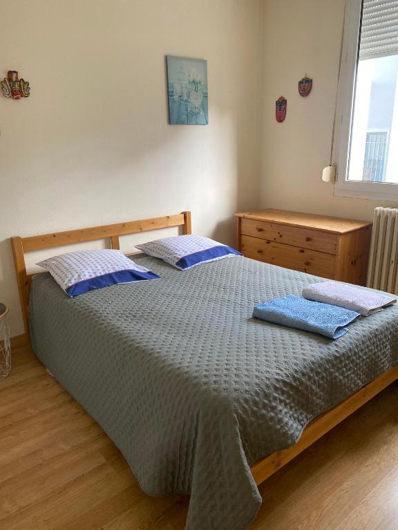 ein Schlafzimmer mit einem Bett mit blauen Kissen darauf in der Unterkunft Chambre chez l'HABITANT appartement partagé sauf salon in Angers