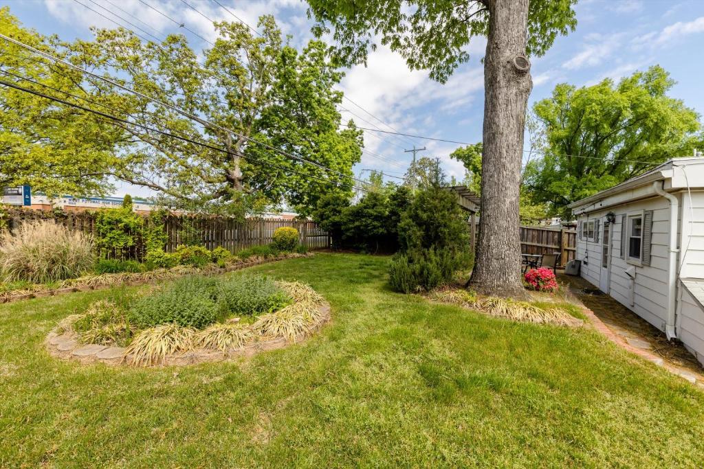 a yard with a tree and a white house at ALX Cape Cod 3-BR Near Old Town & Mount Vernon in Alexandria