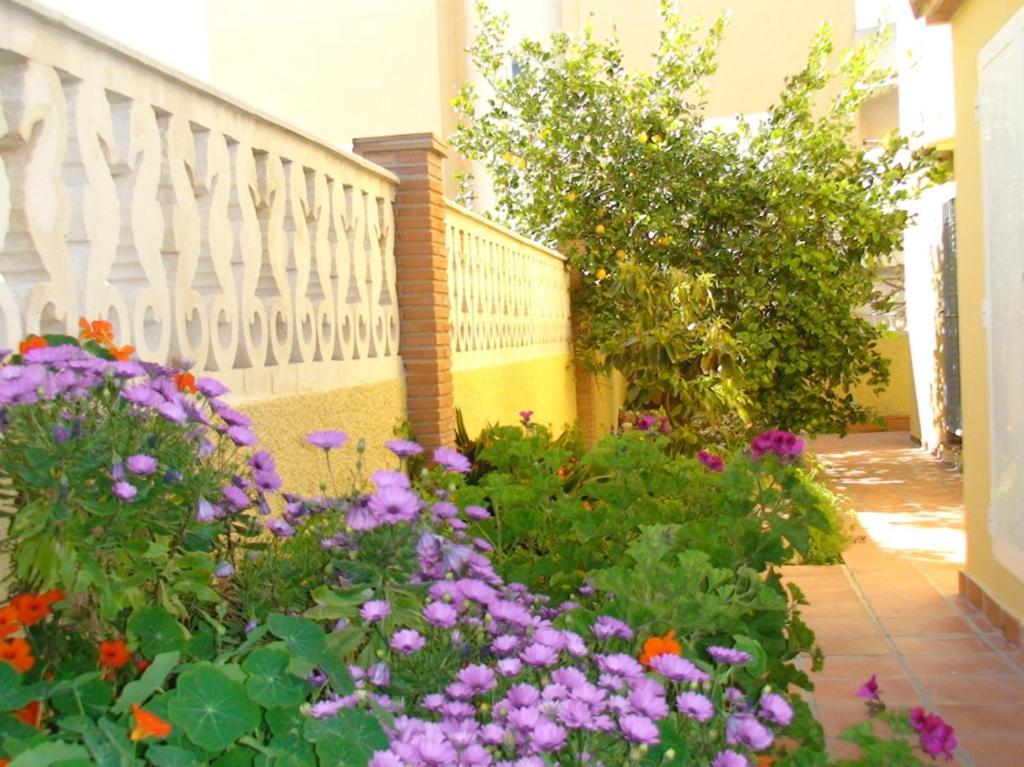 Zahrada ubytování Casa a 85 metros playa 158 m dorm WIFI AA