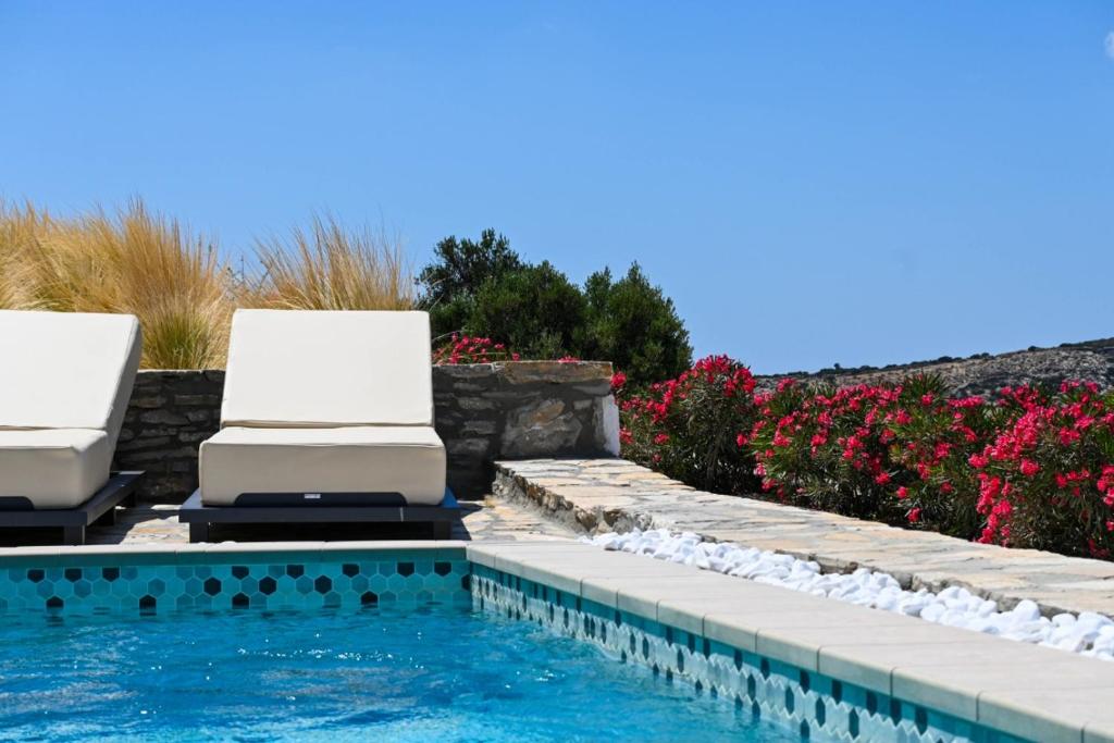 two lounge chairs next to a swimming pool with flowers at Schinoza luxury suites in Skhoinoussa