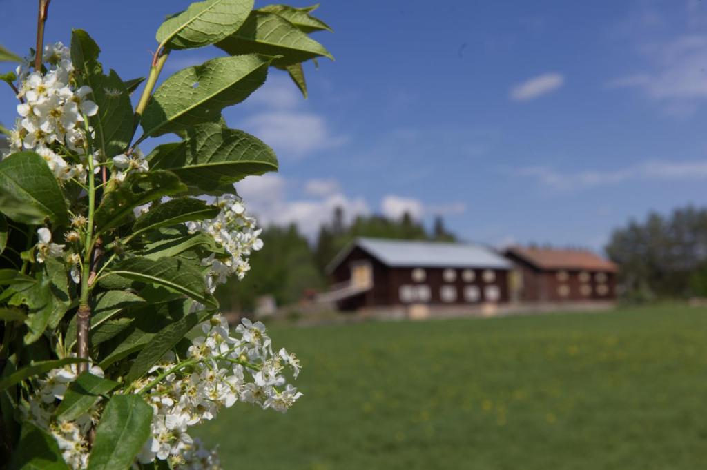 Zahrada ubytování Grindstugan på Fyrås Gård