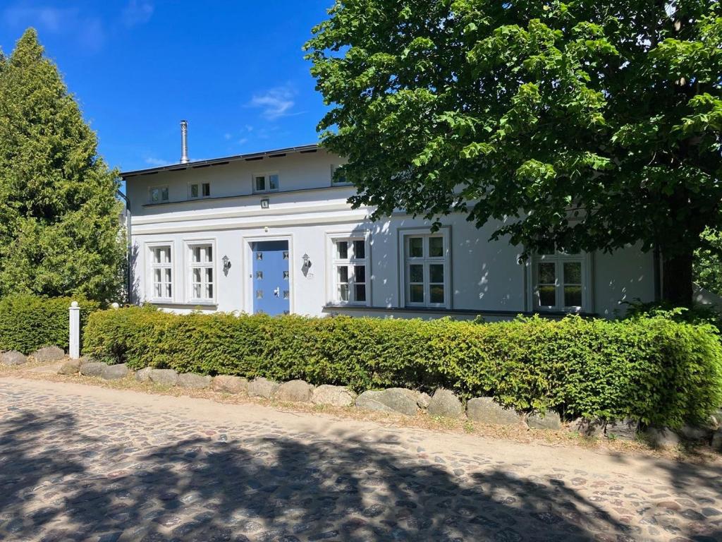 a large white building with a blue door at Jasmundhus in Neddesitz