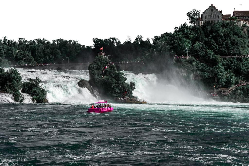 诺伊豪森Rheinfall Living的瀑布前水中的粉红色小船