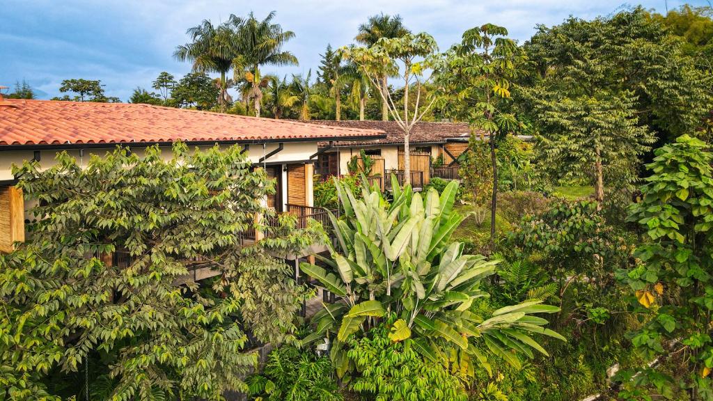 a house surrounded by trees and bushes at Tukki Ecolodge Hotel in Filandia