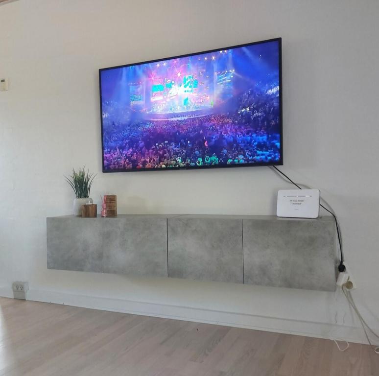 TV a/nebo společenská místnost v ubytování Vakantiewoning Denemarken