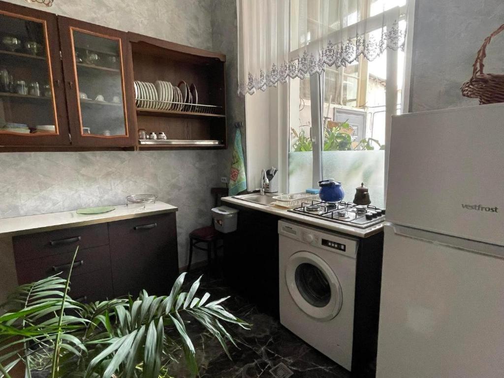 Kuchyň nebo kuchyňský kout v ubytování Guest House Teo