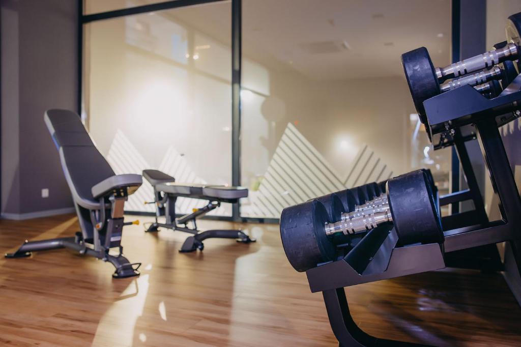Posilňovňa alebo fitness centrum v ubytovaní Platinum Apartments