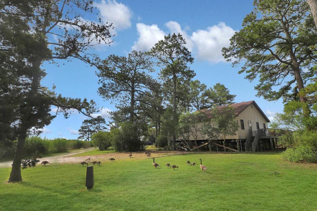 Φυσικό τοπίο κοντά σε αυτή η παραθεριστική κατοικία