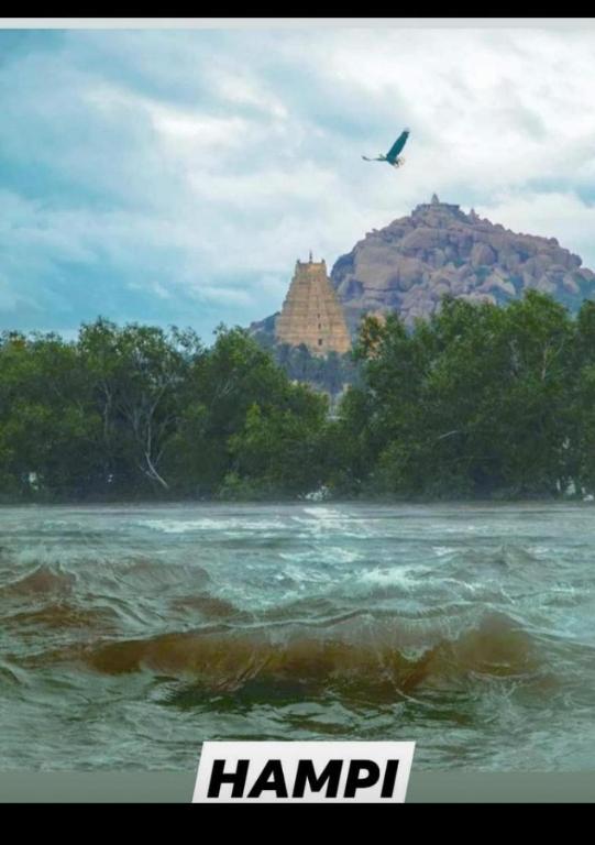 a bird flying over the water with mountains in the background at Mamatha Guest inn in Hampi