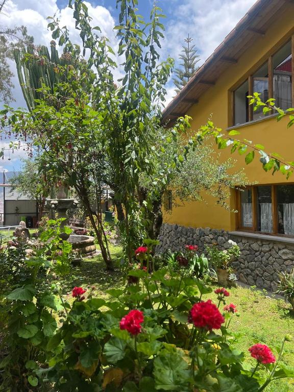 Zahrada ubytování Yanapanakusun Cusco