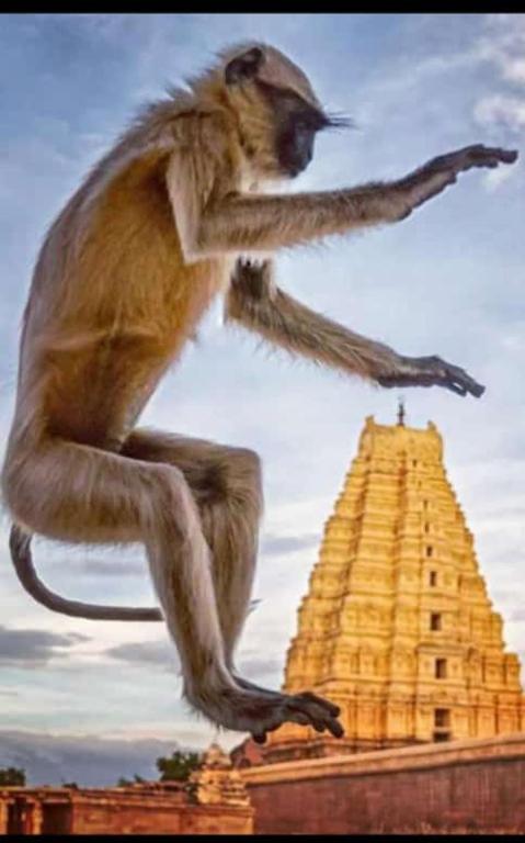 a statue of a monkey jumping in the air at Mamatha Guest inn in Hampi