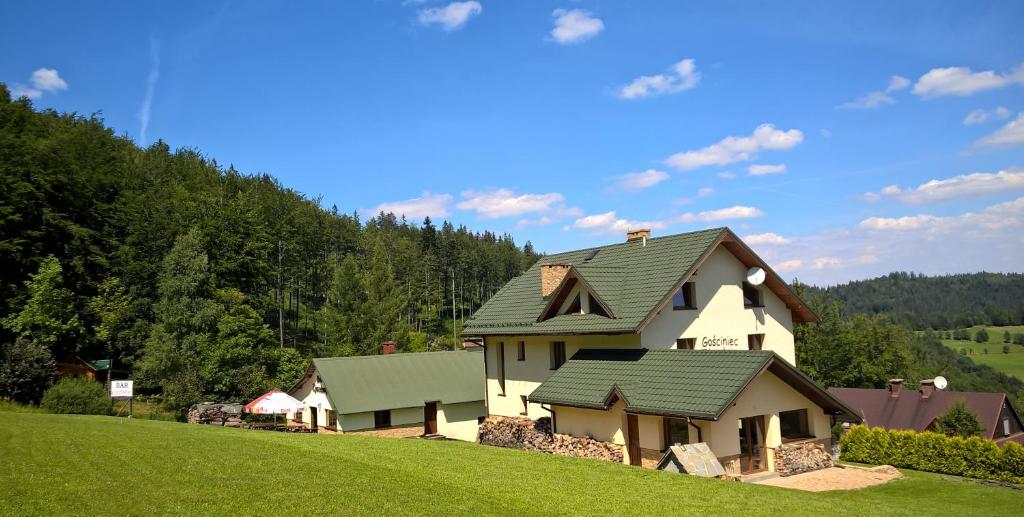 ヴィスワにあるGościniec Zjazdowyの草の丘の上の緑の屋根の家