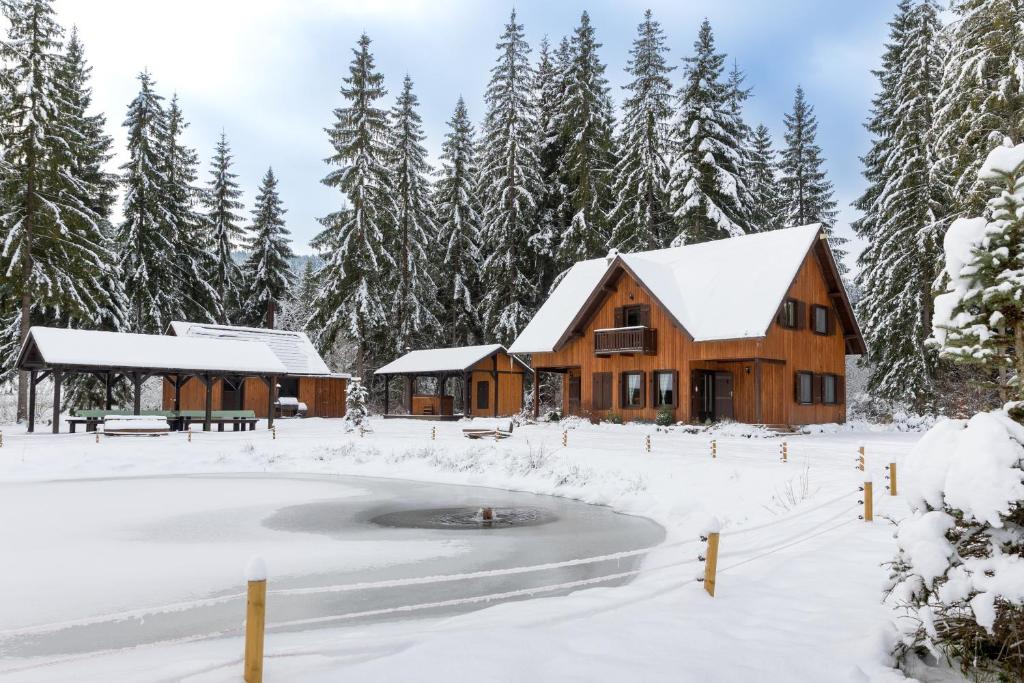 a log cabin in the snow with a pond at Két Patak Retreat in Bucsin