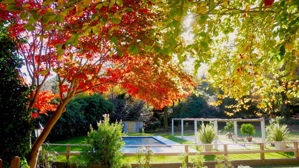 Zahrada ubytování Eco-Resort Parco Botanico Fiorlago