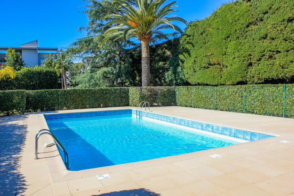 une piscine dans une cour avec un palmier dans l'établissement JULES GREC Appartement Loggia Piscine et Confort à Antibes, à Antibes