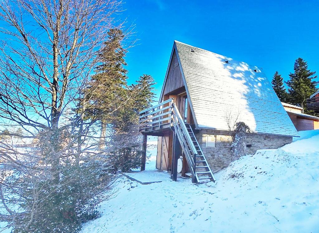 una casa con una scala accanto nella neve di Chalet des Edelweiss, Guzet a Ustou