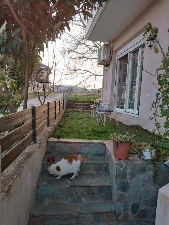 Zwierzęta zatrzymujące się w obiekcie Διαμέρισμα με δύο δωμάτια, δύο μπάνια