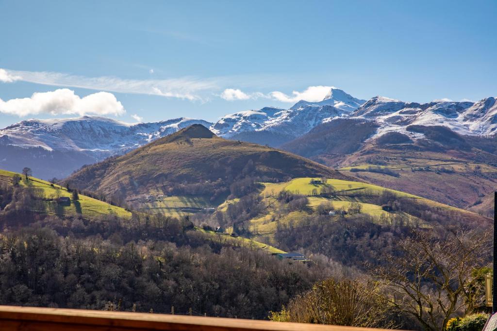 Naturlandskabet i nærheden af chaletet