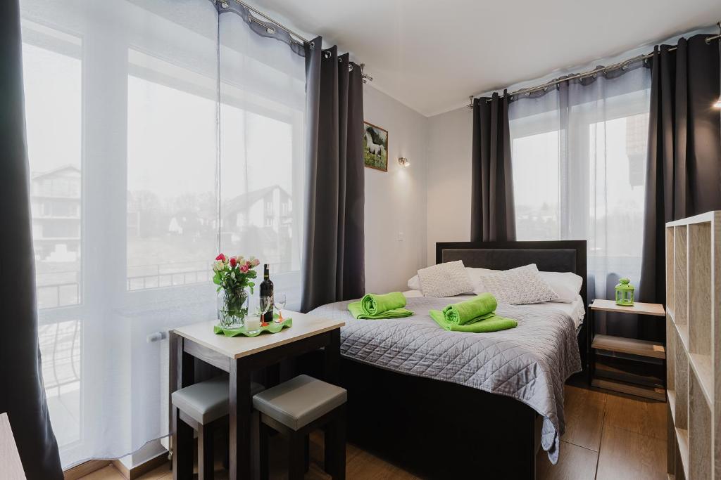 PIONOW Pokoje WaWa - adults only - 17