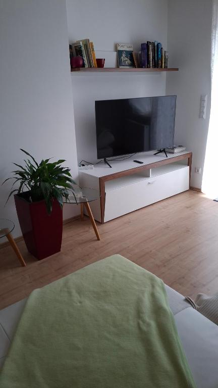 TV a/nebo společenská místnost v ubytování Salotto di LaZia
