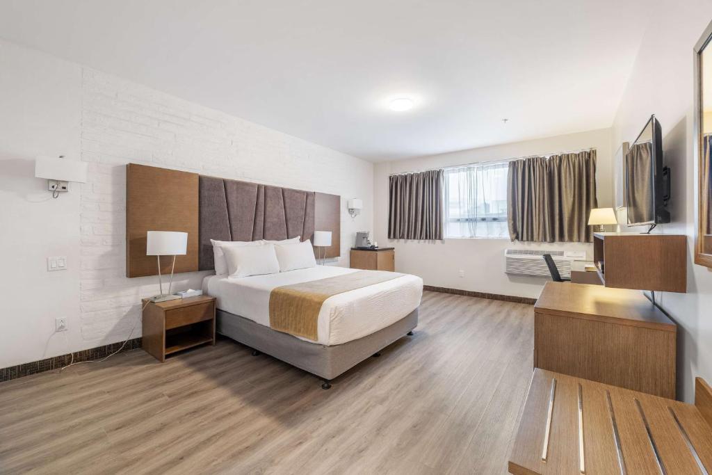 Hotel Montreal Metropolitan, BW Signature Collection - Resim 13