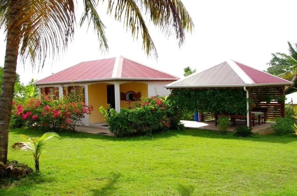 a house with a palm tree in the yard at Charmante maison à Sainte-Anne avec jardin in Sainte-Anne