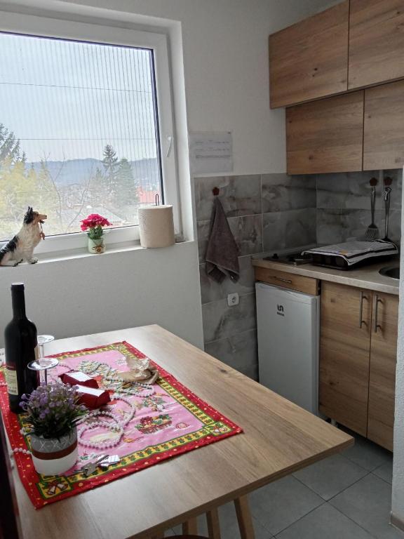 Kuchyň nebo kuchyňský kout v ubytování Apartman N&N