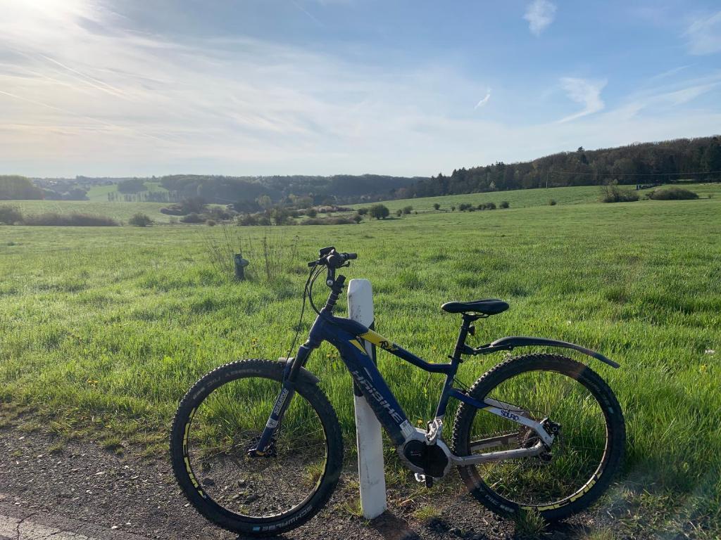 Radfahren an der Unterkunft Ferienwohnungen Eifelstuben mit Charme - am See, nahe Burg oder in der Nähe