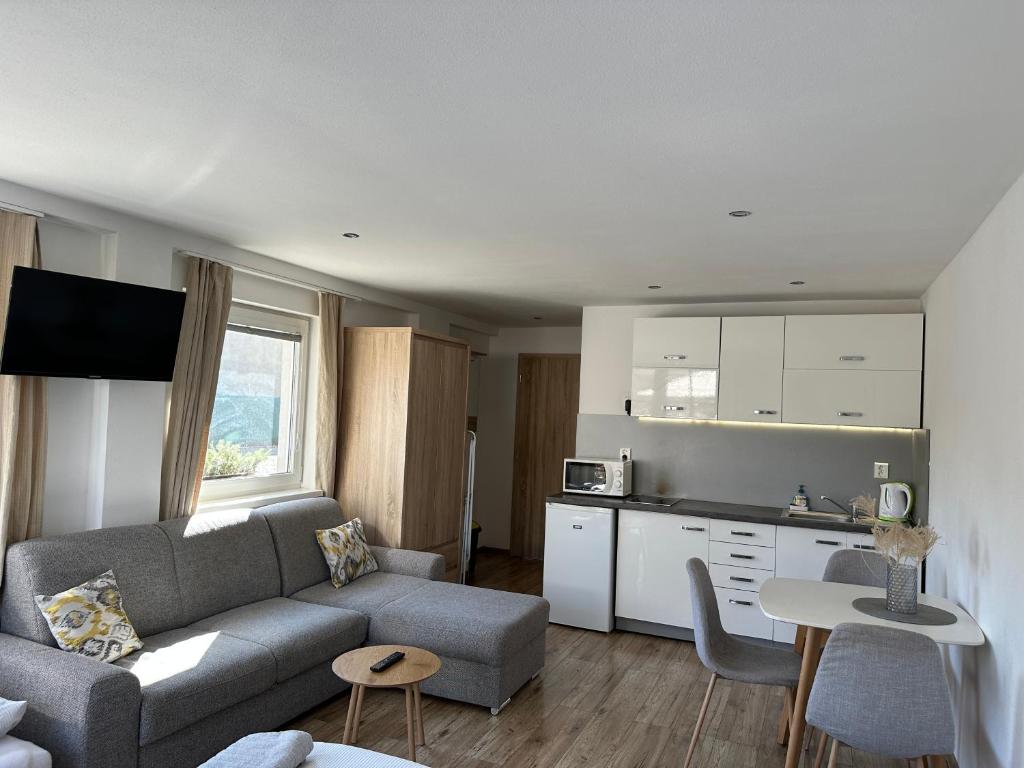 Kuchyň nebo kuchyňský kout v ubytování Apartments Albi
