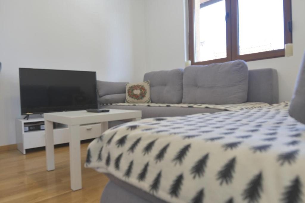 Un dormitorio con una cama, un televisor y un sofá. en Planinski san, en Palisat