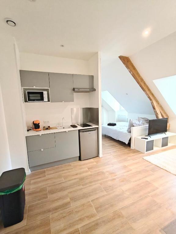 Kuchyň nebo kuchyňský kout v ubytování Studio tout confort Châtel Guyon