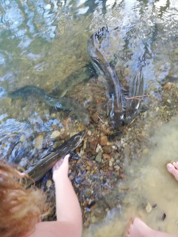 Old Mountain Road Retreat - Resim 25