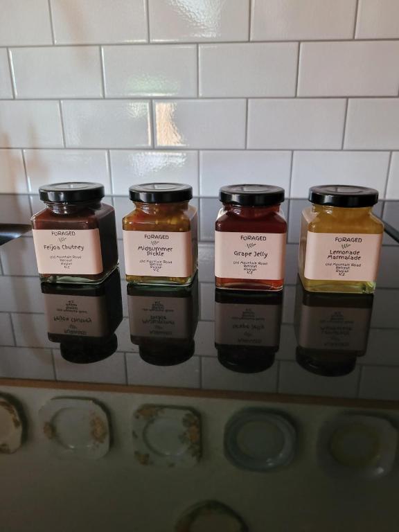 Old Mountain Road Retreat - Resim 32